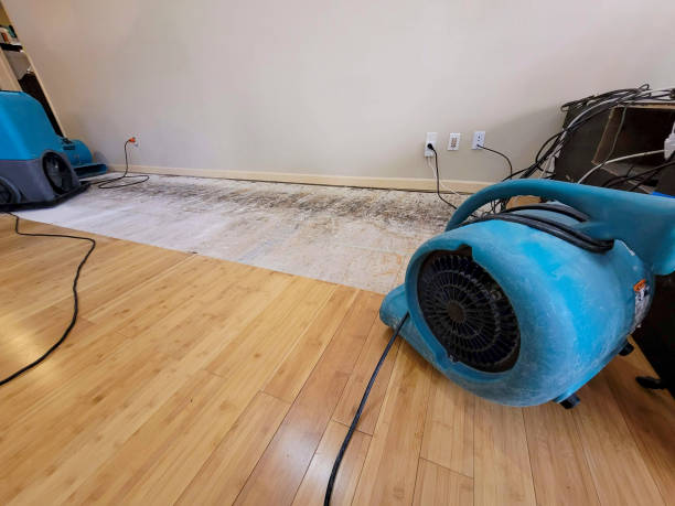 Professional Burst Pipe Water Damage technician working in Ephraim, WI